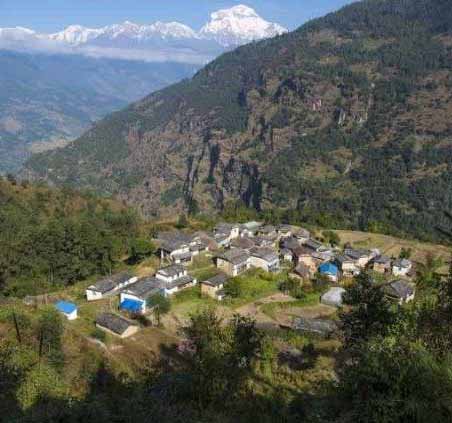 Mohare Danda Trek